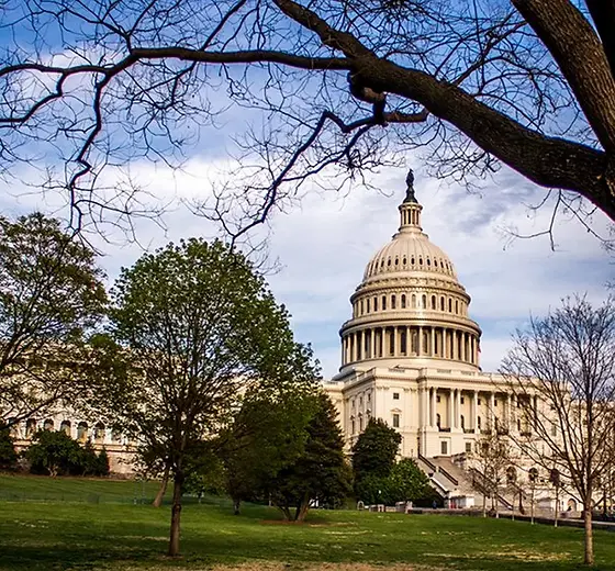 A Narrow window opens for national cannabis reform