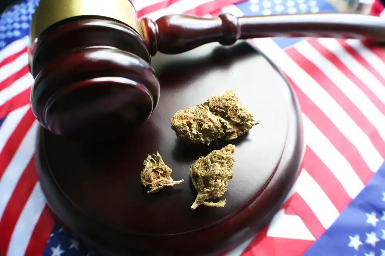 FDA official notes final decision on any marijuana scheduling changes rests with DEA
