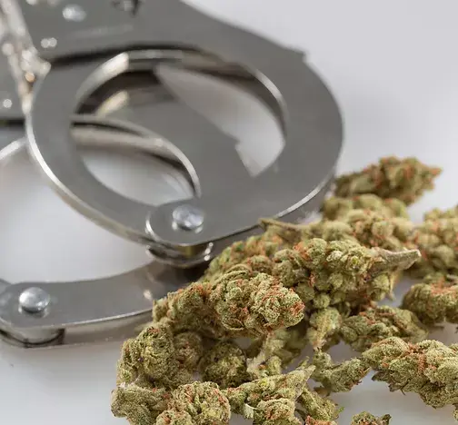 CFCR Executive Director, Sarah Chase, quoted on FDA’s Help in Hawaii Officials Crack Down On CBD Company In ‘Unique’ Surveillance Operation Leading To Arrests