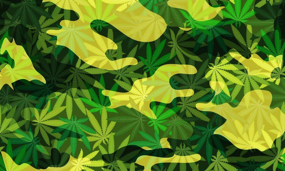 Bipartisan Congressmen Urge Support For Medical Marijuana Bill For Military Veterans They’ll Be Introducing Soon