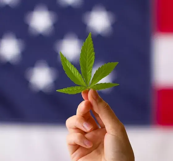 Sarah A. Chase, Executive Director of the Council for Federal Cannabis Regulation (CFCR) to Appear on 4/20 Virtual Common Sense Cannabis Legislation for Veterans Program