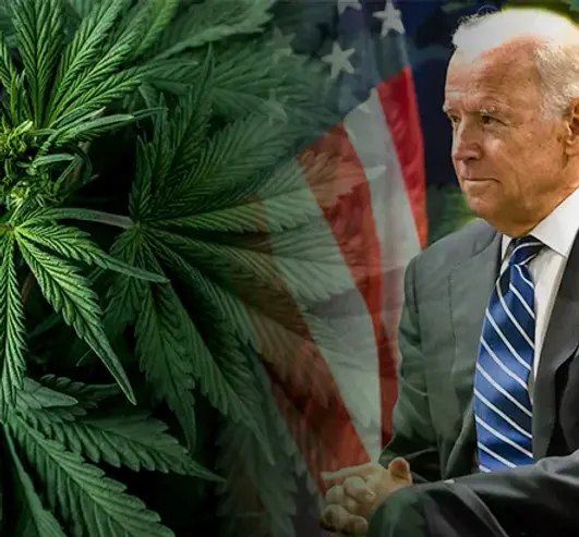 Actions Biden Could Take on Cannabis Policy