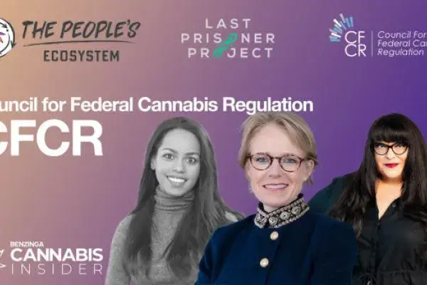 Cannabis Insider Nails It With Trio Of Experts On Finance, Social Equity & The ‘Real Wizards’ Of The Weed Industry
