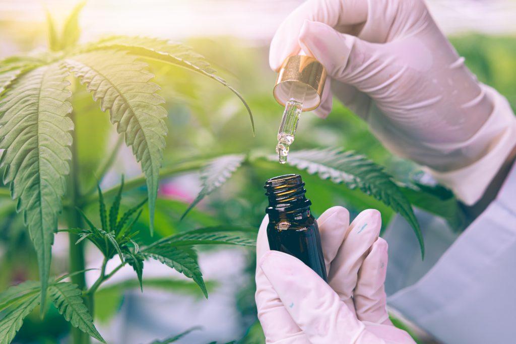 Major Cannabis Industry Media Outlets Recognize CFCR’s Efforts to Support FDA Regulation of CBD